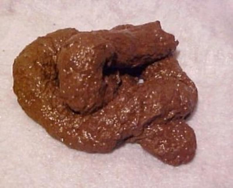 Premium Fake Poop, Classic Gag, Hand Crafted and painted with a wet gloss look, Very Realistic. Over 5 long & 1.5 Tall. image 1