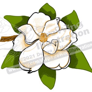 Magnolia Blossom Clipart: Louisiana State Flower (Digital Download)