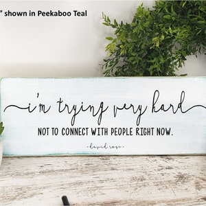 May include: A white wooden sign with teal painted edges. The sign reads "i'm trying very hard NOT TO CONNECT WITH PEOPLE RIGHT NOW. -lapid rose.-" The sign is 5.5 inches by 15 inches.