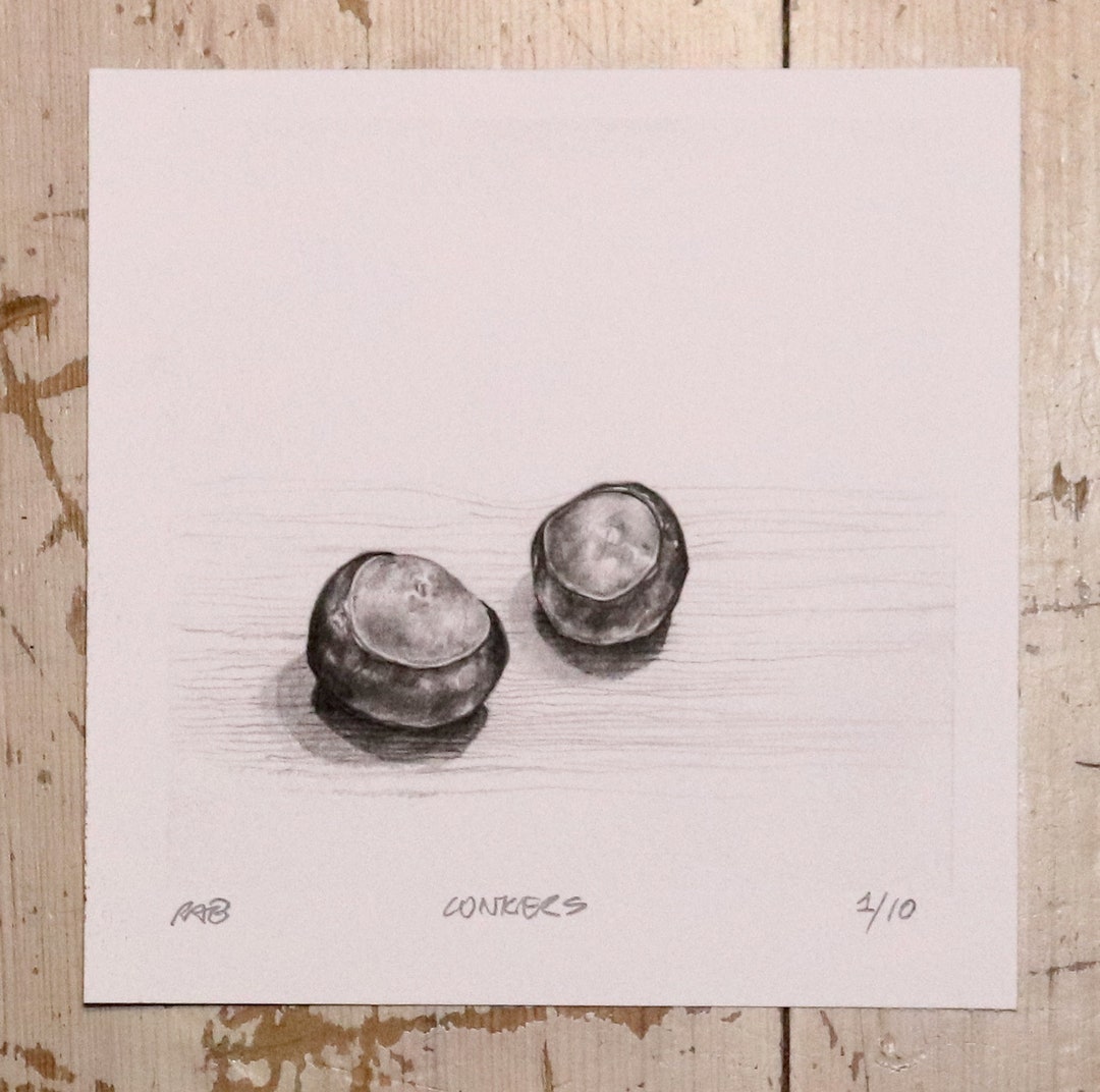 Conkers Giclée Print of Pencil Drawing Limited Print of 10 - Etsy