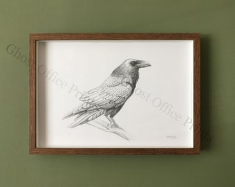 May include: A black and white pencil drawing of a raven perched on a branch. The raven is facing to the right and has its wings folded. The drawing is framed in a brown wooden frame.