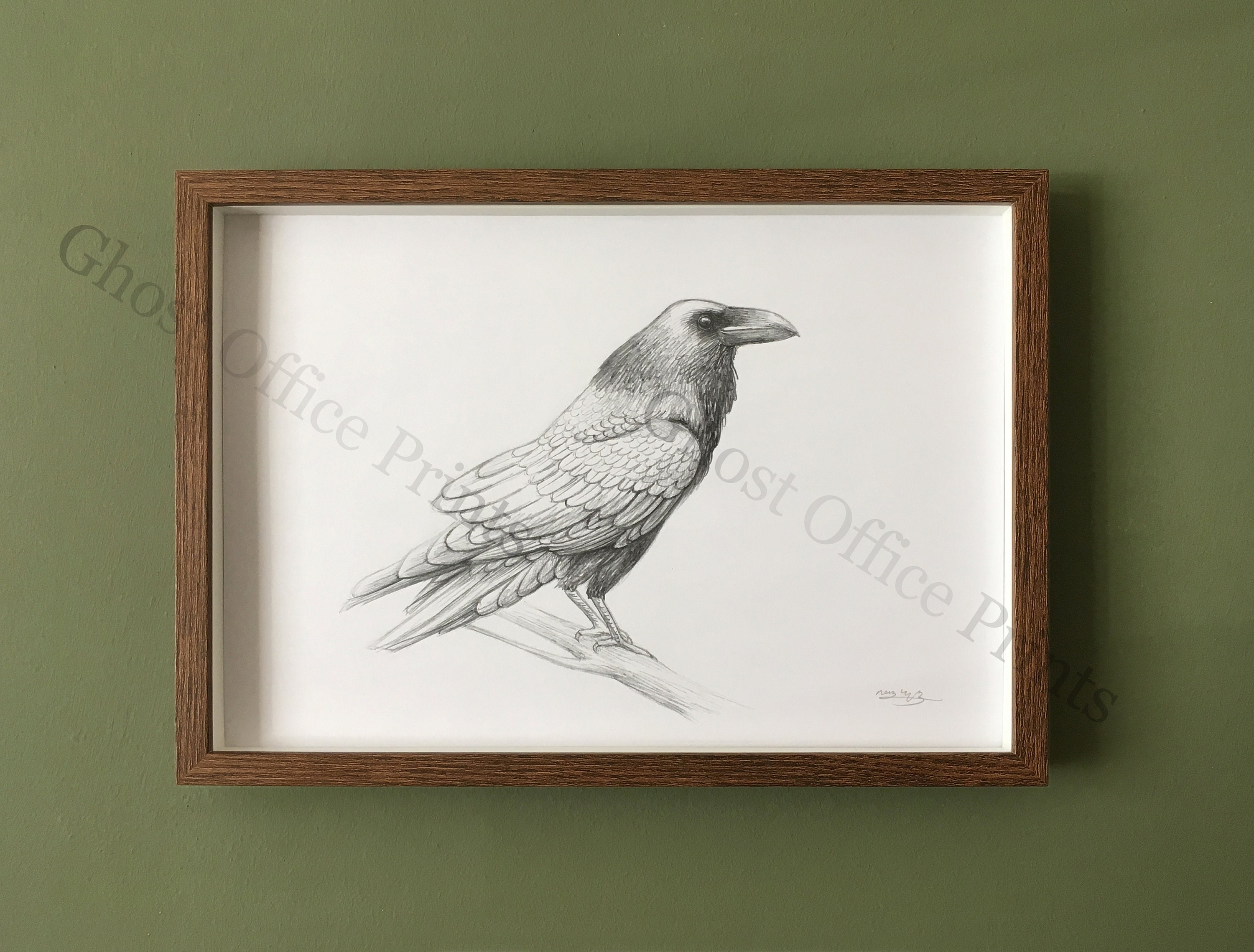 Raven Drawing Art Print Animal Illustration Drawing Bird Crow - Etsy