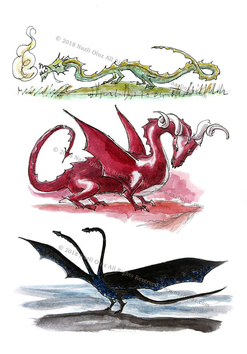 May include: Three watercolor illustrations of dragons. The first dragon is green with a yellow flame coming from its mouth. The second dragon is red with a white horn on its head. The third dragon is black with three heads and blue wings.