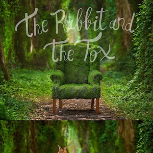 Mossy chair forest ivy vine garden background backdrop digital moss nature fairy fantasy whimsical photography newborn composite stock