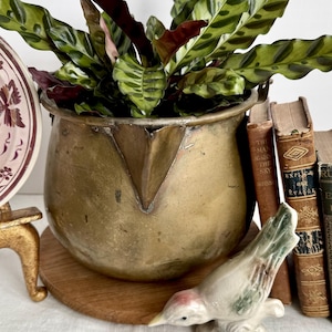 May include: A large, weathered brass pot with a wide rim and a prominent spout, containing a green and dark-patterned leafy plant. The pot sits on a circular wooden base next to a small ceramic bird figurine and three antique hardcover books.