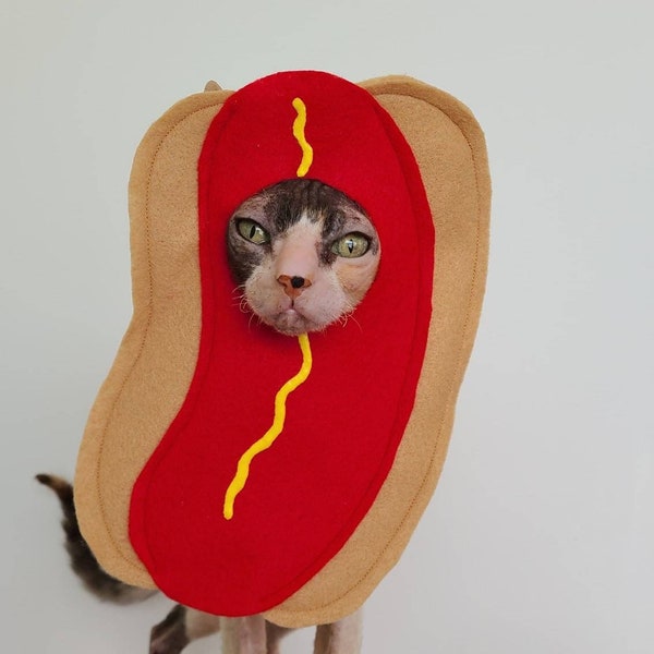 Hotdog costume for pets cats small dogs in felt redhot chicago dog tiktok instagram famous photoshoot photo prop photobooth funny outfit