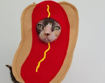 Pet hot dog costume discount