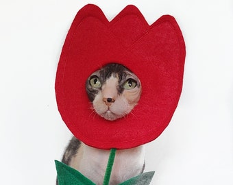 Tulip flower pet costume for Spring Summer gardeners for small pets small dogs cats in lightweight felt tiktok instagram photo prop