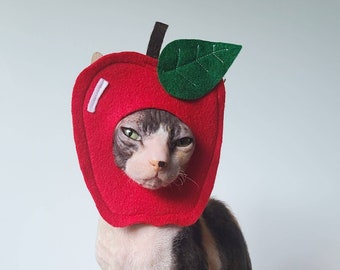 Apple pet costume for Halloween back to school gardeners for small pets small dogs cats in lightweight felt tiktok instagram photo prop