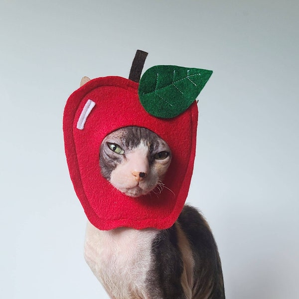 Apple pet costume for Halloween back to school gardeners for small pets small dogs cats in lightweight felt tiktok instagram photo prop