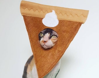 Disfraz de gato pastel de calabaza y gorro pequeño de fieltro para mascota