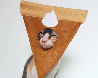 Pumpkin pie cat and small pet hat felt costume