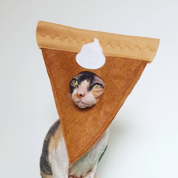 Pumpkin pie cat and small pet hat felt costume