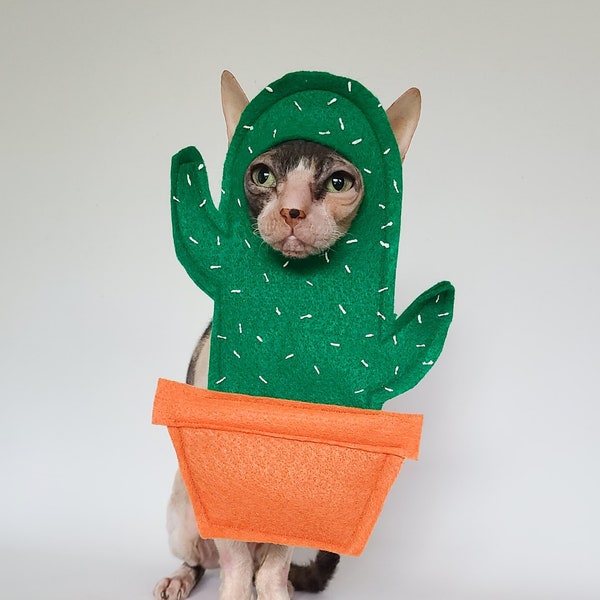 Prickly cactus succulent plant in planter costume for  cats small dogs and other pets in lightweight soft felt