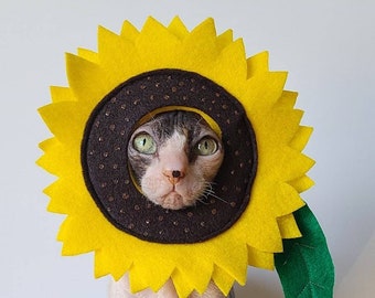 Sunflower pet costume for cats small dogs small pets Ukraine national flower Ukrainian support in soft lightweight felt peace flower love