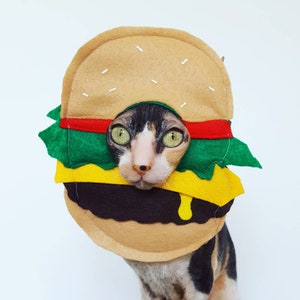 Cheeseburger pet hat costume for cats small dogs in soft vibrant felt hamburger image 1