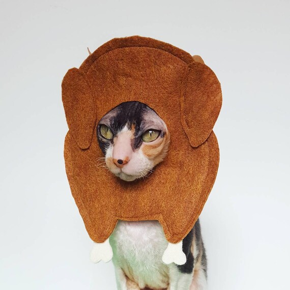 Thanksgiving Turkey Hat for Cats Funny Turkey Cat Hat With -  Denmark