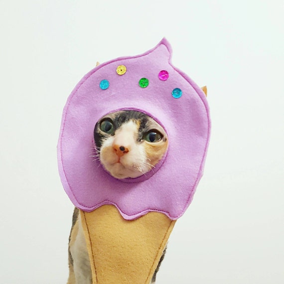 Ice Cream Cone Your Cat Costume Hat For Pets Kitties Dogs Etsy