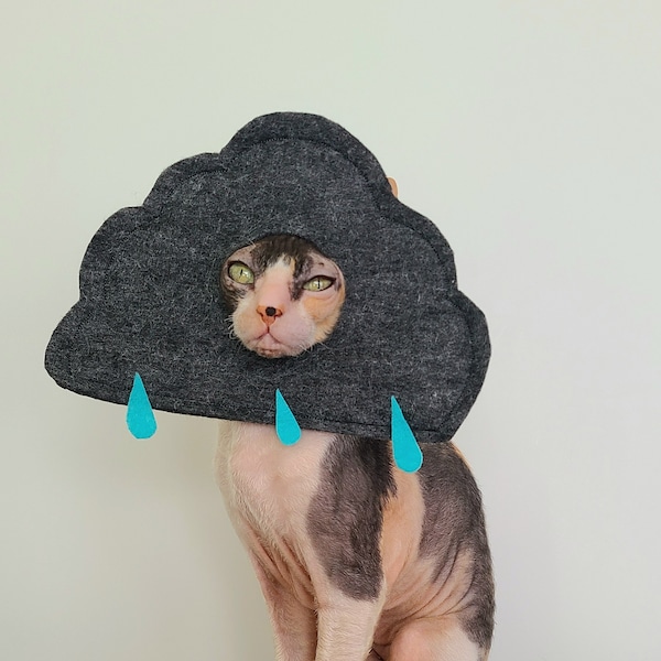 Rain Cloud Storm April Showers cat small dog pet costume in soft lightweight gray felt with blue raindrops