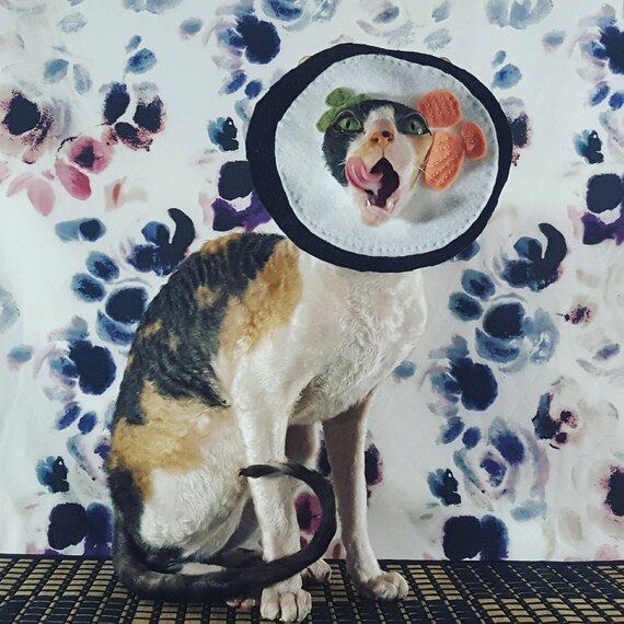 Chapeau De Costume Danimal De Compagnie De Sushi Pour Chiens Etsy Chapeau De Costume Danimal De Compagnie De Sushi Pour Chiens Etsy