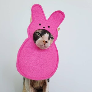 Marshmallow bunny pet hat for small dogs small pets cats in lightweight felt for Easter holidays and photography image 4