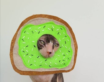 Avocado Toast costume with Everything bagel seasoning for cats small dogs pets in soft felt trendy costume tiktok instagram breakfast