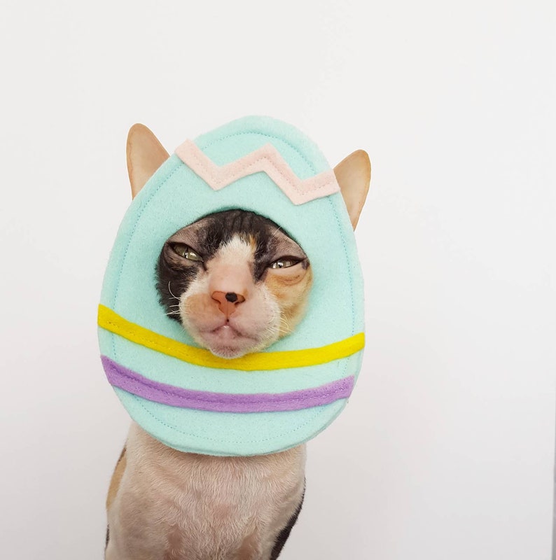 Easter Egg pet costume for cats, dogs, and small pets image 2