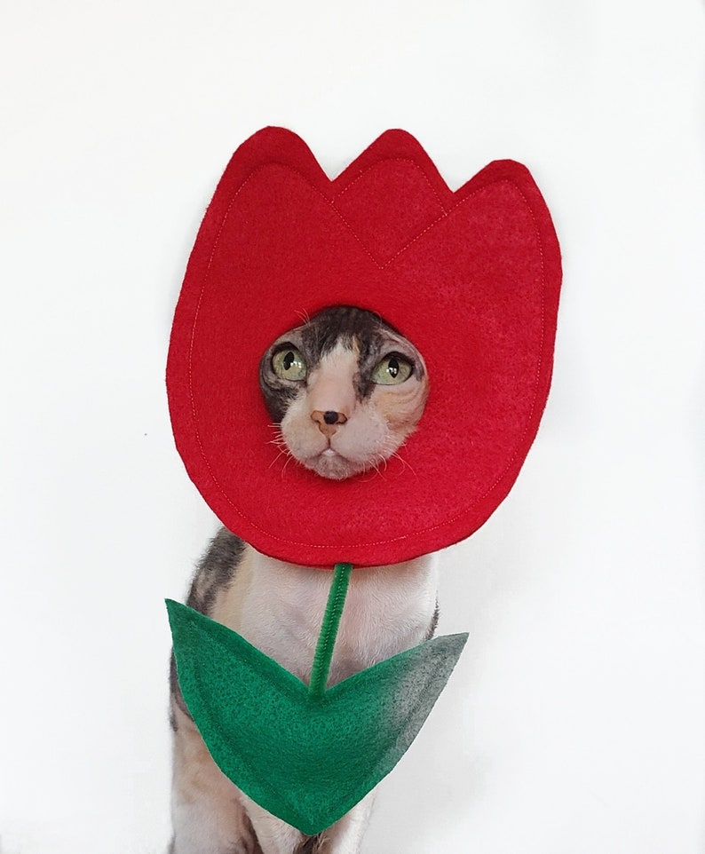 Tulip flower pet costume for Spring Summer gardeners for small pets small dogs cats in lightweight felt tiktok instagram photo prop image 1