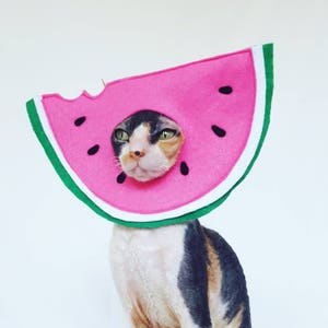 Watermelon pet hat costume in soft pink felt with green white and black accents for small pets dogs bunnies and cats image 1