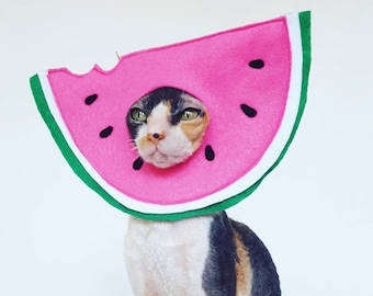 Watermelon pet hat costume in soft pink felt with green white and black accents for small pets dogs bunnies and cats