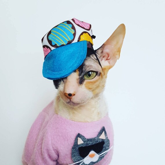 baseball cap for cats