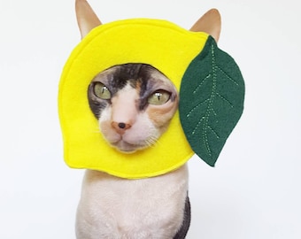 Lemon pet costume for cats small dogs and other pets in soft yellow with embroidered leaf