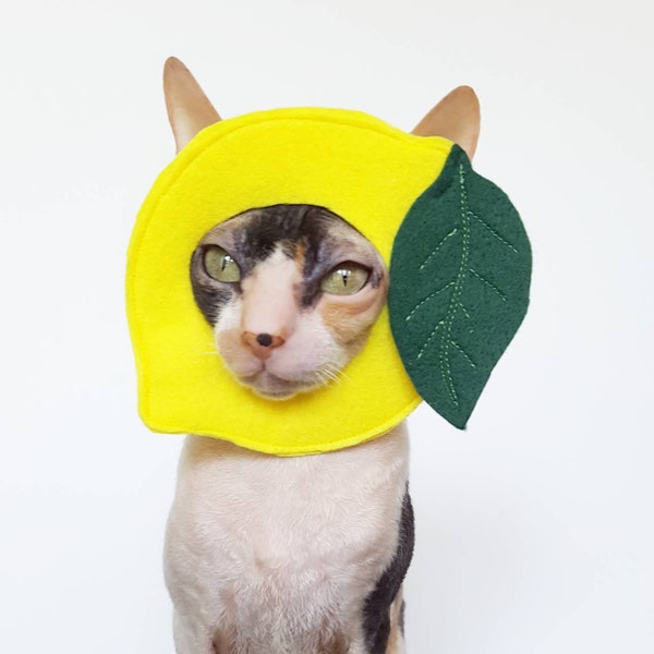 Lemon pet costume for cats small dogs and other pets in soft yellow with embroidered leaf
