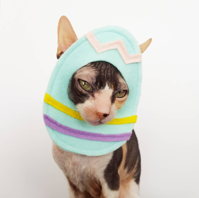 Easter Egg pet costume for cats, dogs, and small pets image 3