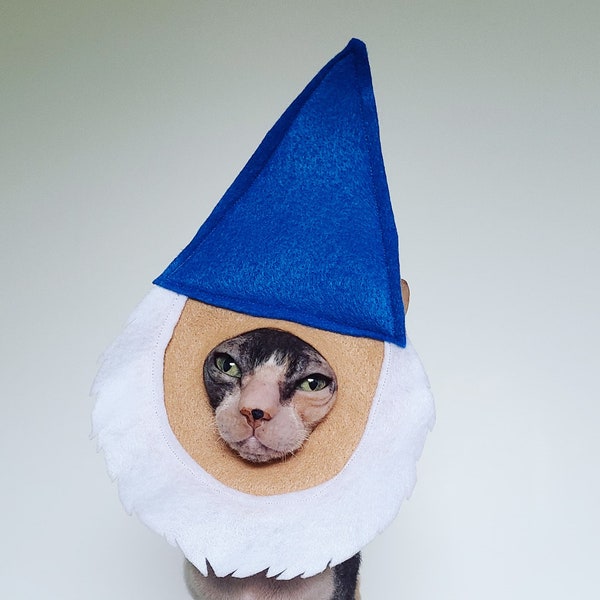 Garden gnome costume hat for cats small dogs and small pets in lightweight soft felt