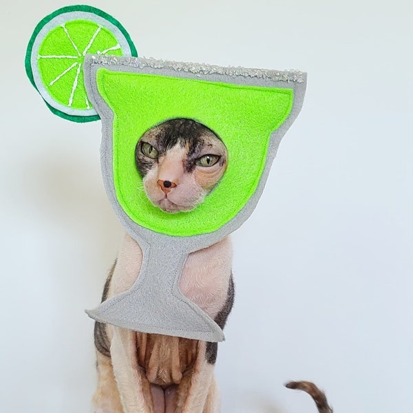 Margarita drink costume hat Cinco De Mayo for cats small dogs and small pets in lightweight soft felt tequila lime beverage