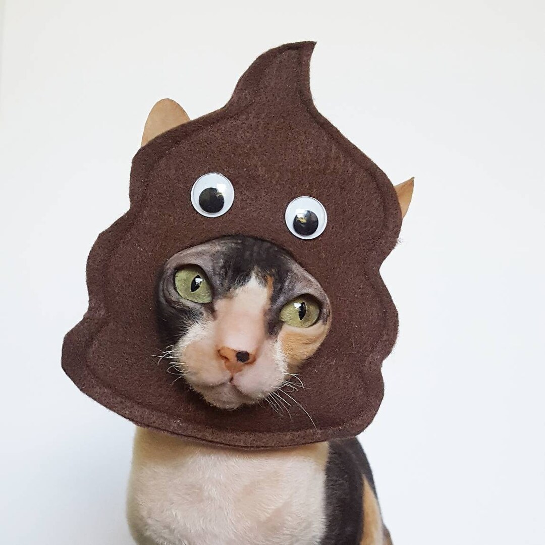 Doodoo Poop Emoji Flat Pet Costume Hat in Soft Brown Felt With Sewn on Googly Eyes Etsy UK