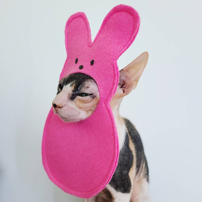 Marshmallow bunny pet hat for small dogs small pets cats in lightweight felt for Easter holidays and photography image 3
