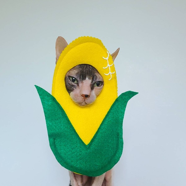 It's Corn pet costume for cats small dogs in lightweight bright felt a big lump with knobs funny tiktok meme tribute photobooth outfit