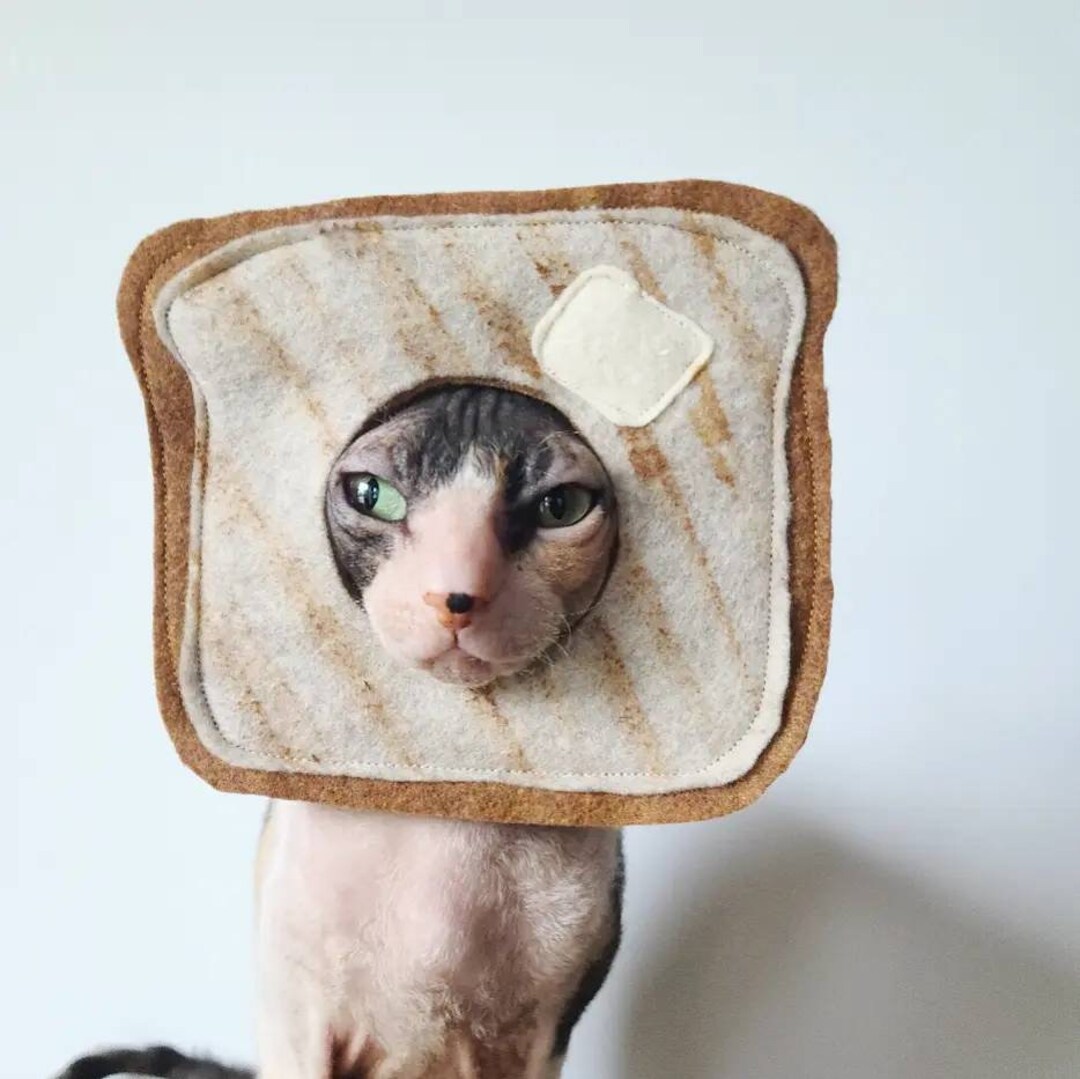 Toast Pet Costume With Handpainted Details for Small Pets Cats Small Dogs Bunny Rabbits in Soft Felt With Butter Pad Halloween Photoshoot Etsy UK