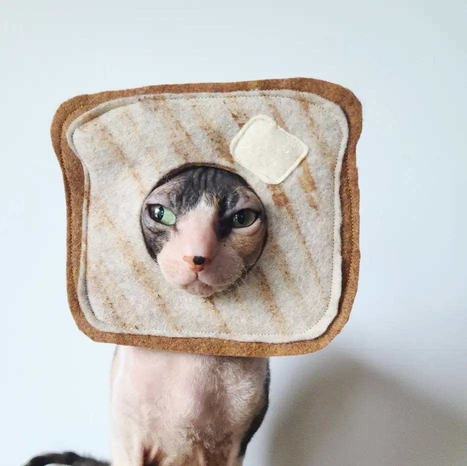 cat bread Poster for Sale by BattleGoat