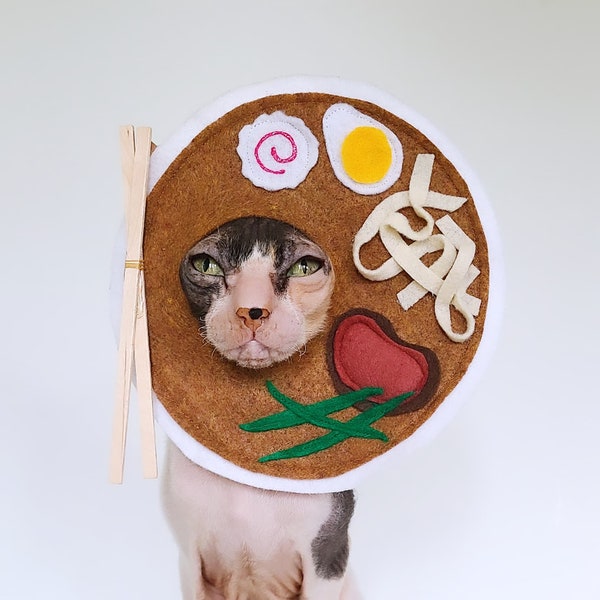 Ramen costume Japanese cuisine soup broth hat for cats dogs and small pets in lightweight soft felt with egg noodles narutomaki fish cake