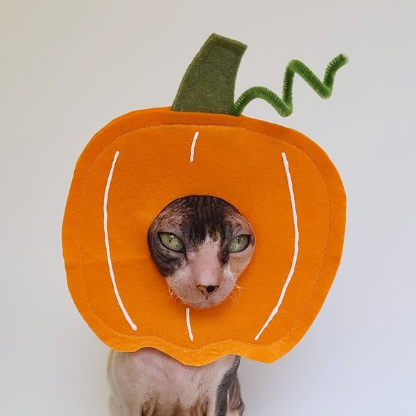 Pumpkin fall pet costume hat for cats small dogs and small pets in lightweight soft felt