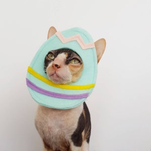 Easter Egg pet costume for cats, dogs, and small pets image 1