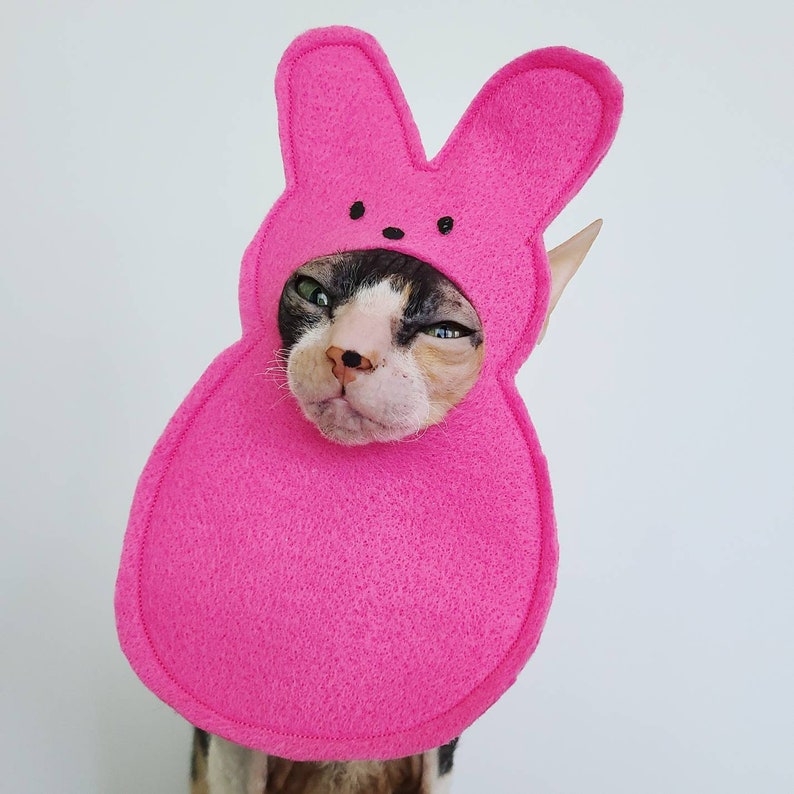 Marshmallow bunny pet hat for small dogs small pets cats in lightweight felt for Easter holidays and photography image 2