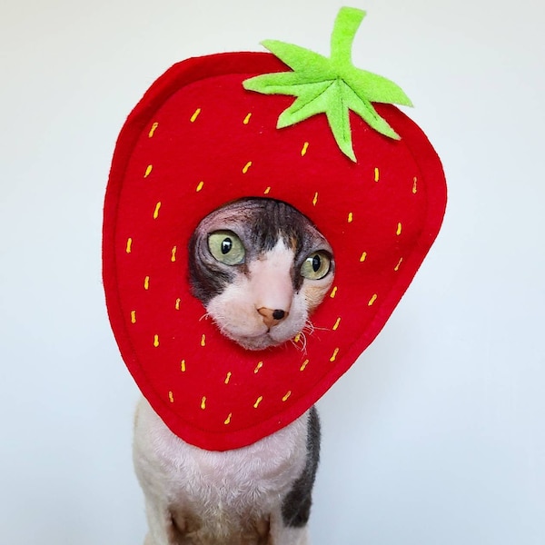 Strawberry Costume Etsy