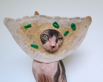 Dumpling costume hat for cats small dogs and small pets in lightweight soft felt Japanese Gyoza Chinese soup dumpling