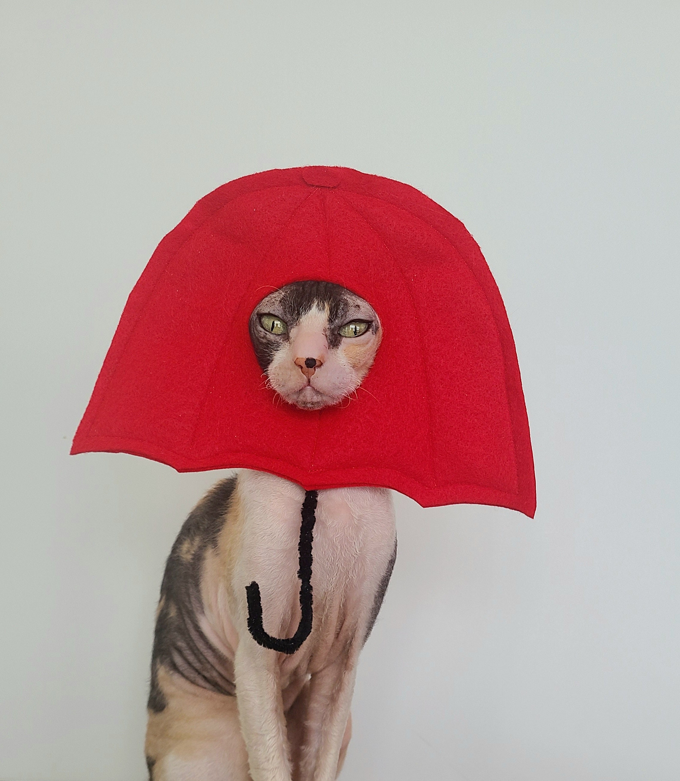 hat with an umbrella