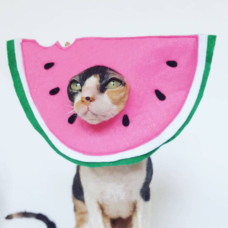 Watermelon pet hat costume in soft pink felt with green white and black accents for small pets dogs bunnies and cats image 4