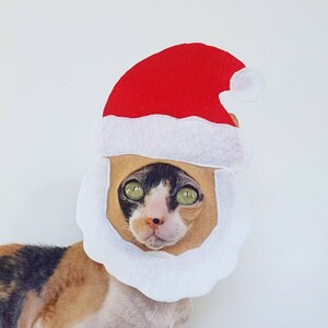 Santa Claus Your Pet cat dog and small pet costume in soft felt for holidays and Christmas
